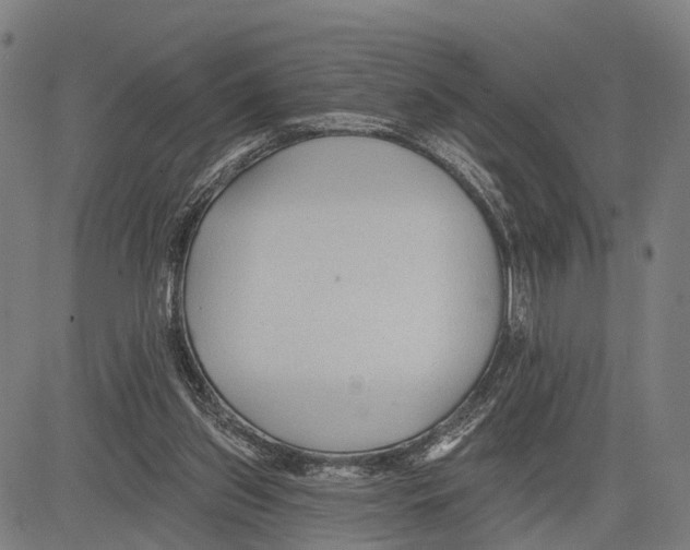 X0000083610157200703121611