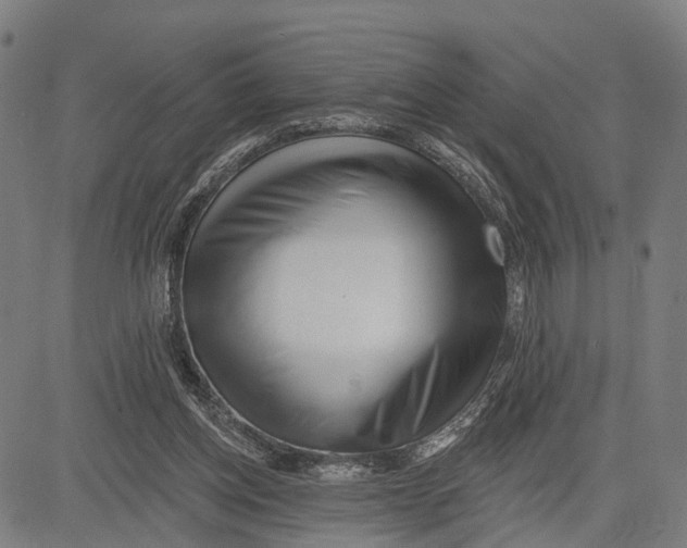 X0000083610158200703121611