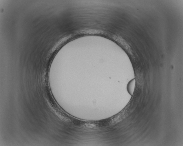 X0000083610159200703121611