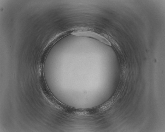 X0000083610160200703121611