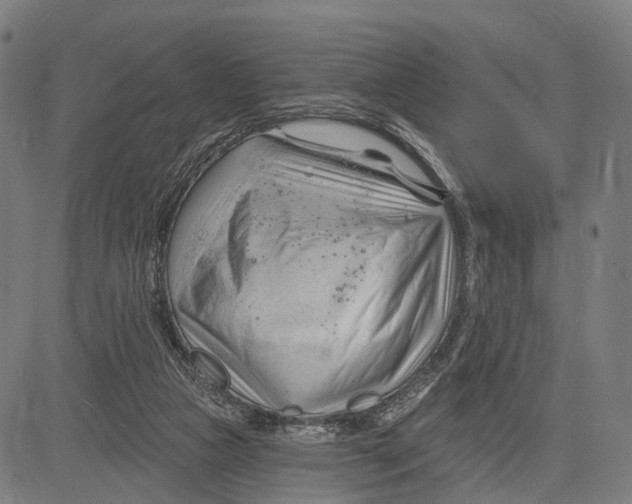 X0000083610161200703121611