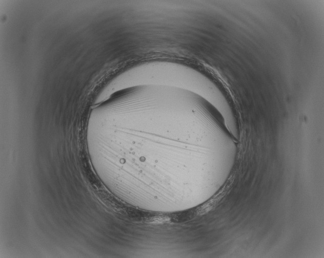 X0000083610162200703121612