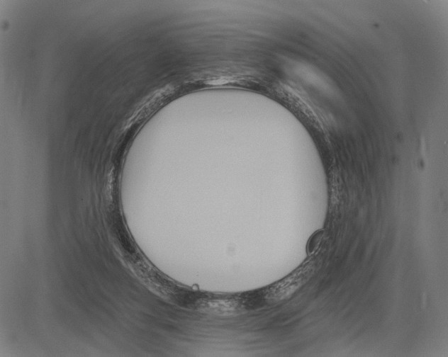 X0000083610163200703121612