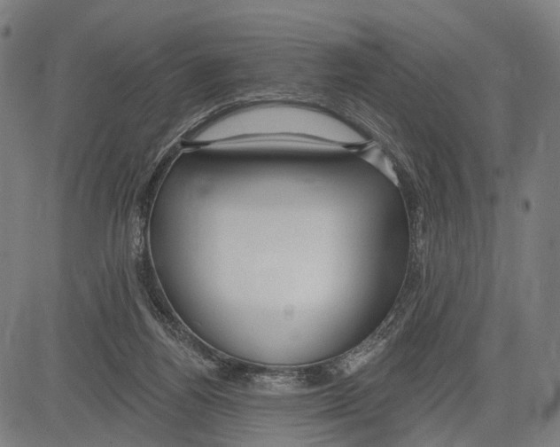 X0000083610164200703121612