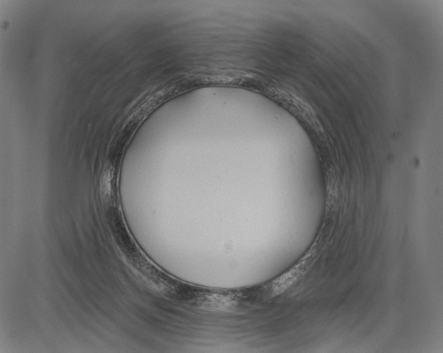 X0000083610166200703121612