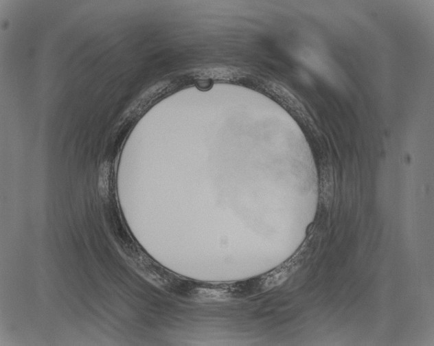 X0000083610167200703121612