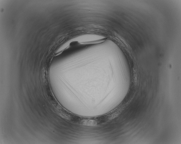 X0000083610169200703121612