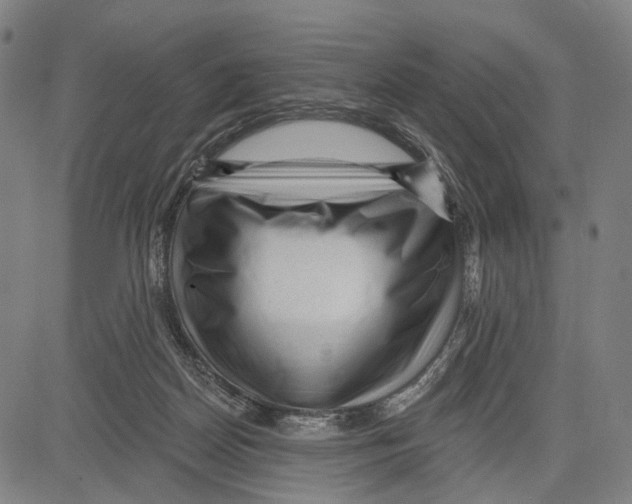 X0000083610170200703121612