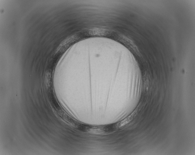 X0000083610171200703121612