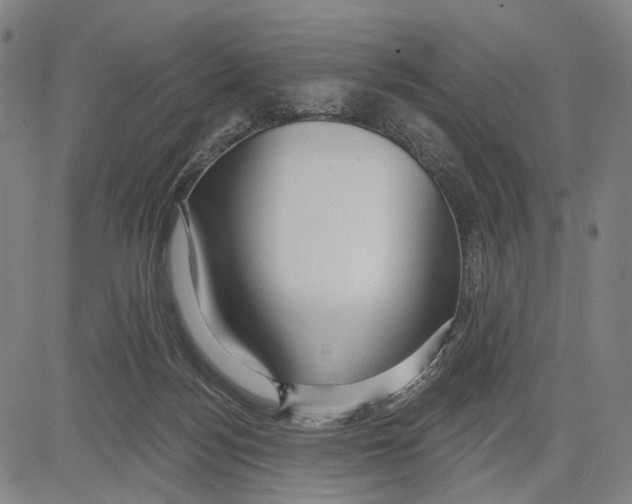 X0000083610172200703121612