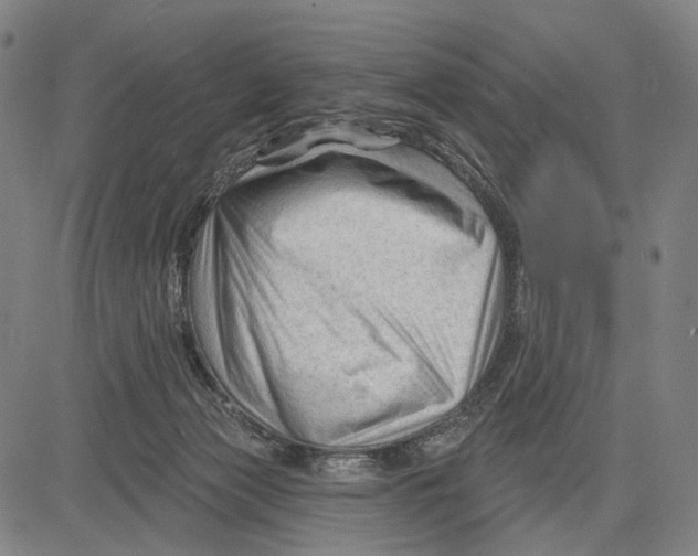 X0000083610173200703121612