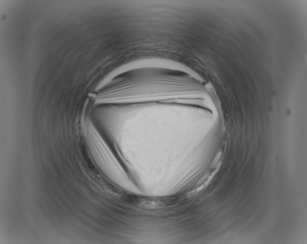 X0000083610174200703121612