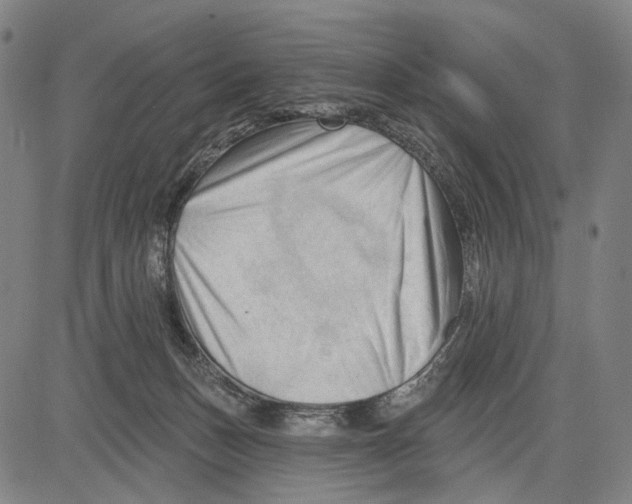 X0000083610175200703121612