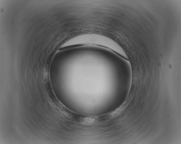 X0000083610176200703121612