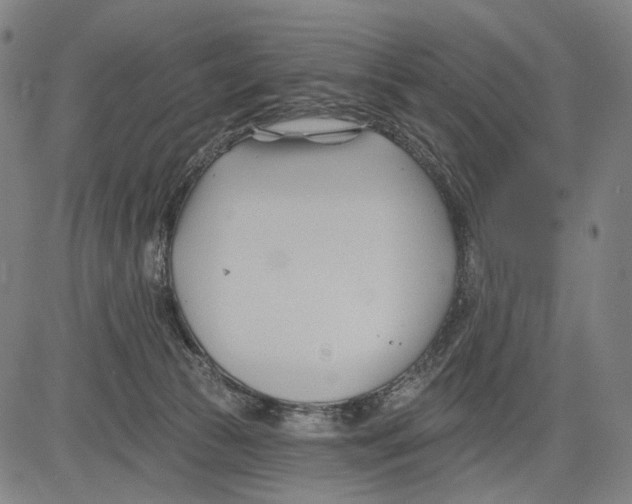 X0000083610177200703121612