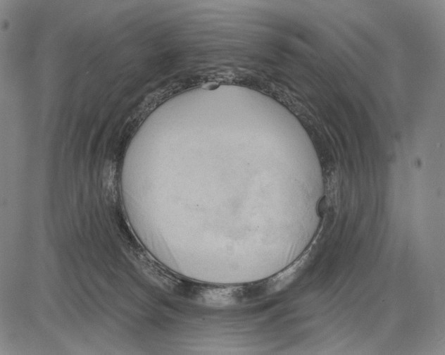 X0000083610178200703121612