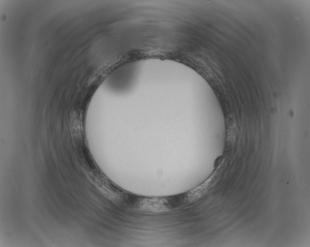 X0000083610179200703121612