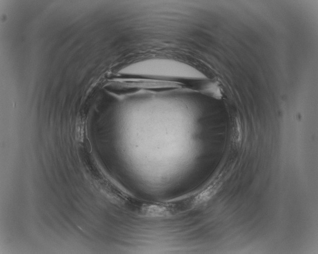 X0000083610180200703121612