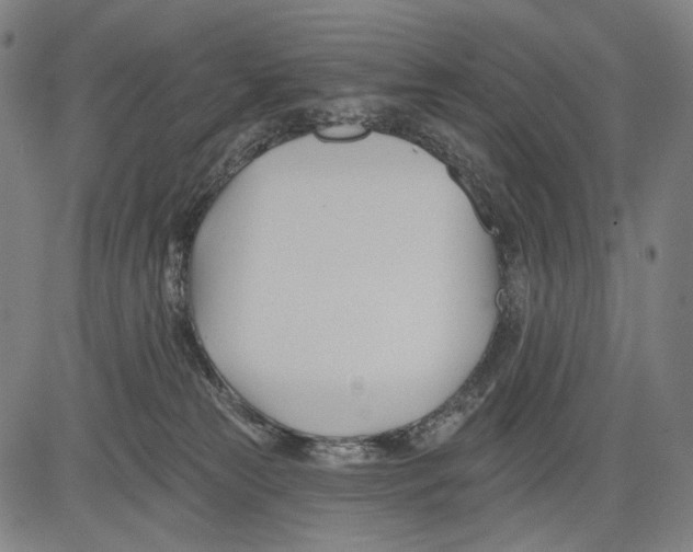 X0000083610181200703121612