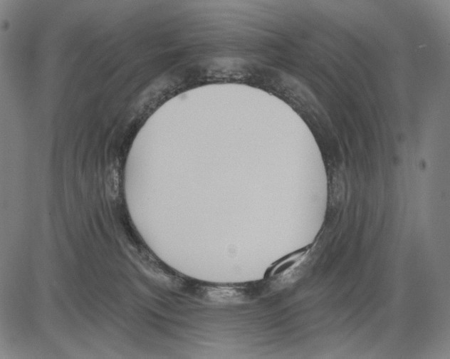 X0000083610183200703121612