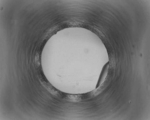 X0000083610187200703121612