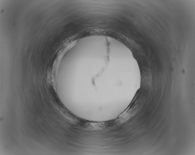 X0000083610188200703121612