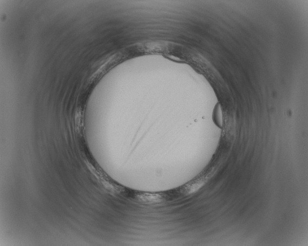 X0000083610189200703121612