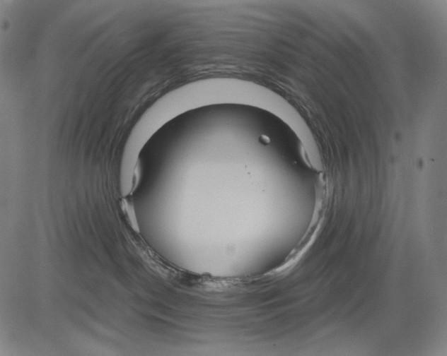 X0000083610190200703121612