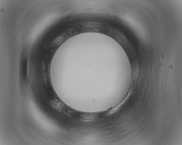 X0000083610191200703121612