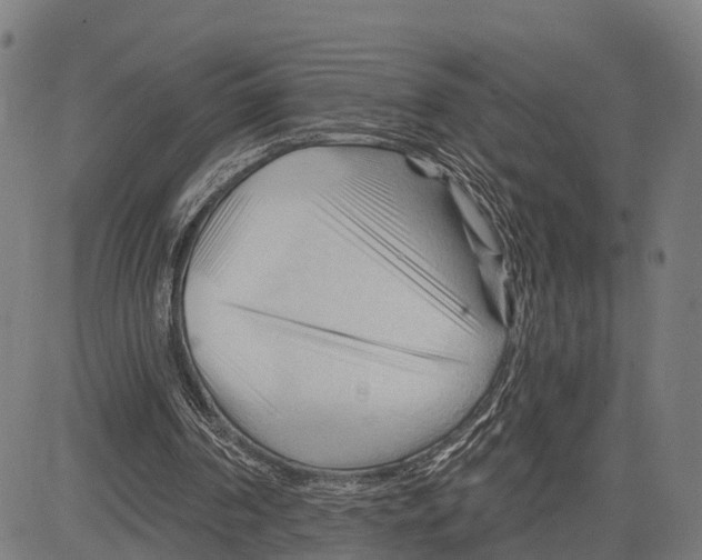 X0000083610194200703121611