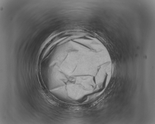 X0000083610195200703121611