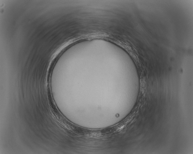 X0000083610196200703121611