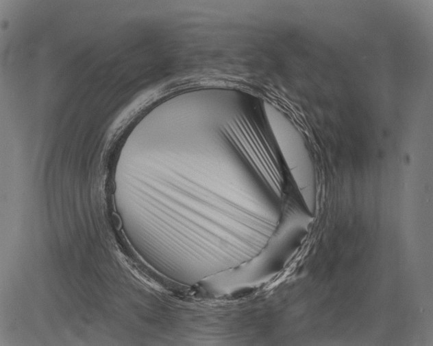 X0000083610197200703121611