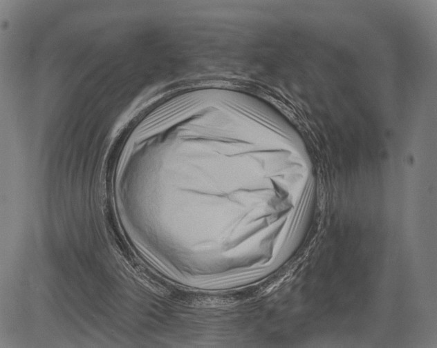 X0000083610198200703121611