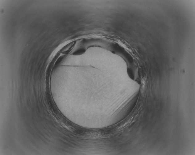 X0000083610200200703121611