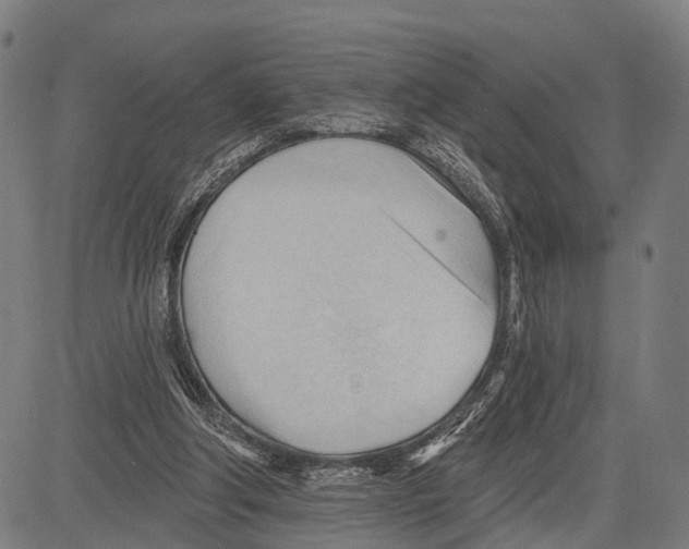 X0000083610202200703121611