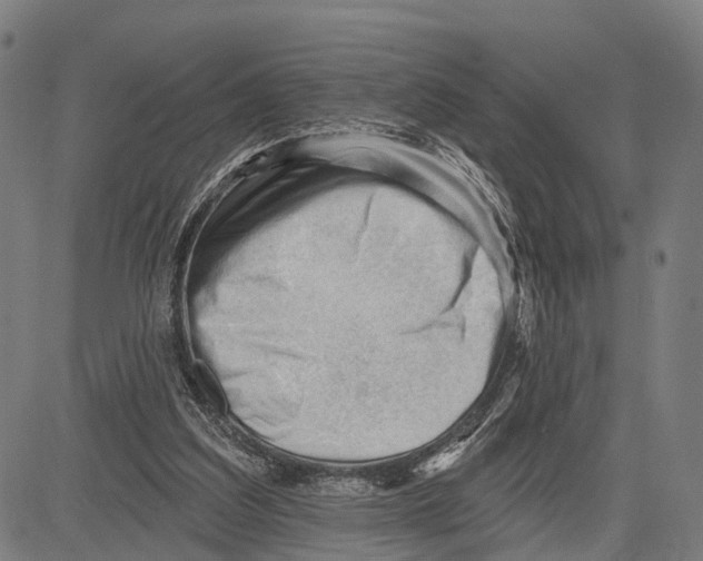 X0000083610203200703121611