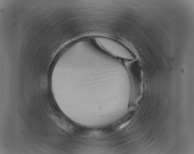 X0000083610204200703121611