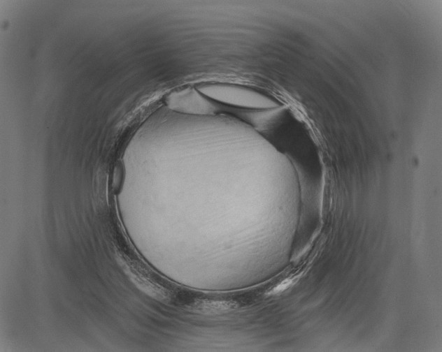 X0000083610205200703121611