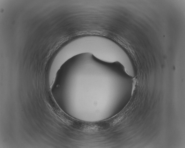 X0000083610206200703121611