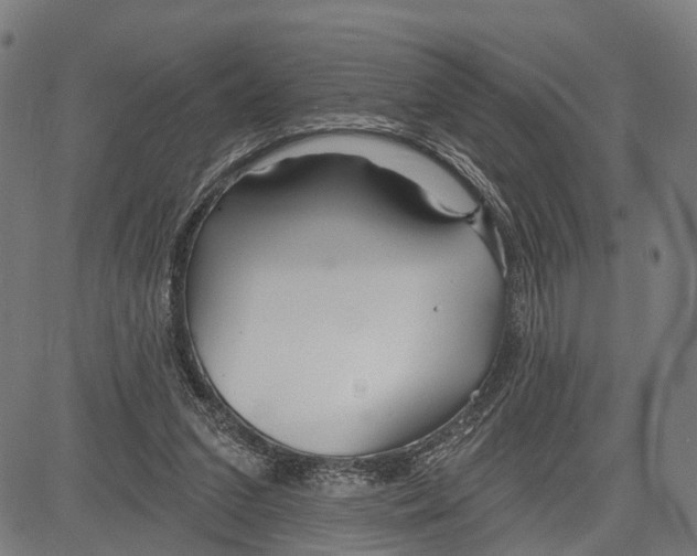 X0000083610207200703121611