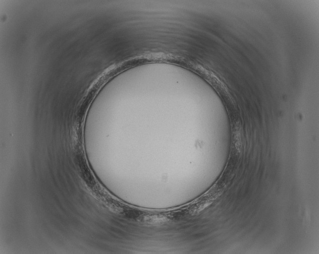 X0000083610208200703121611