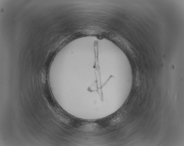 X0000083610210200703121611