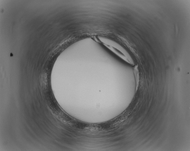 X0000083610211200703121611