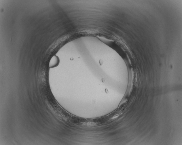 X0000083610212200703121611