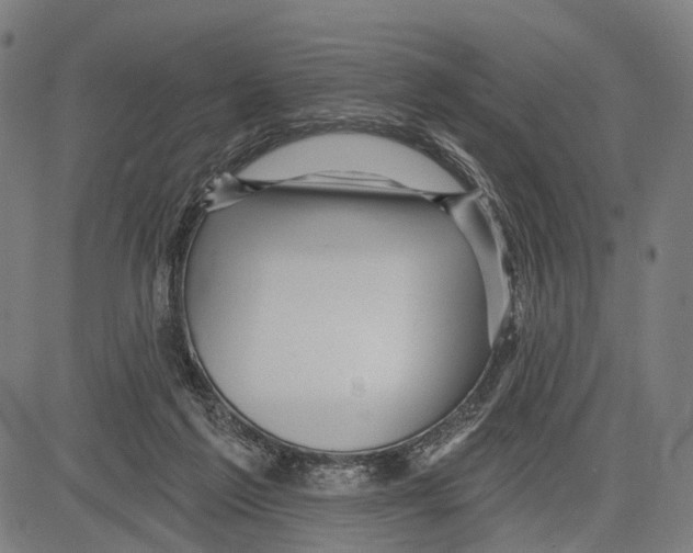 X0000083610213200703121611