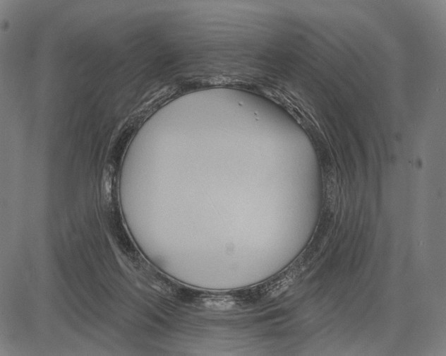 X0000083610214200703121611