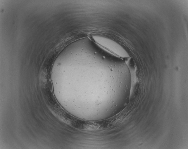 X0000083610215200703121611