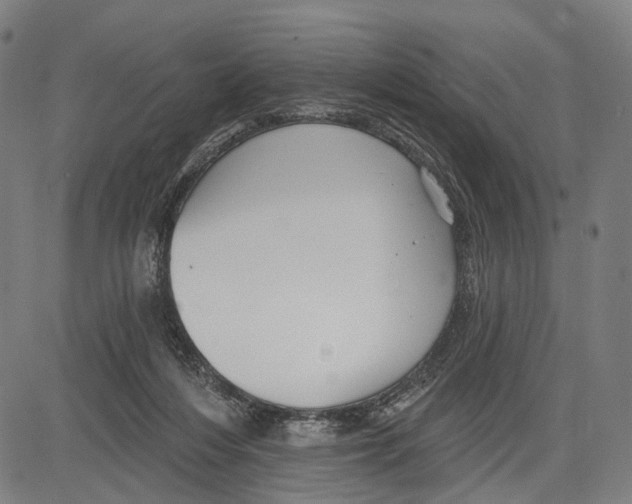 X0000083610216200703121611