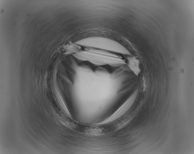 X0000083610217200703121611